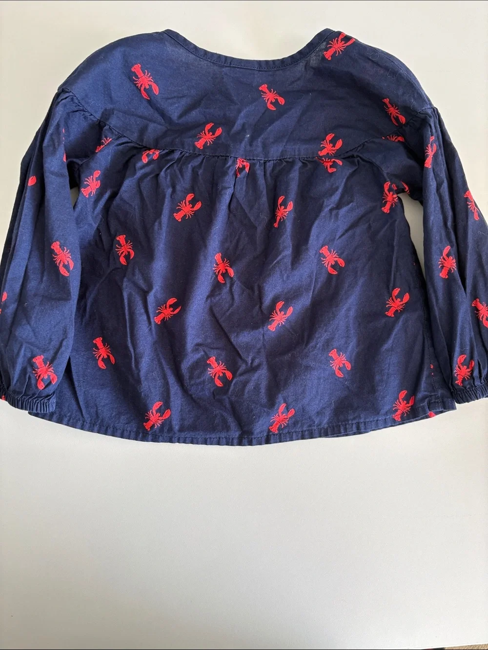 Old Navy Navy and Red Lobster Button-Front Top